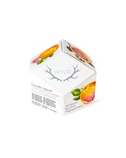 Revive | GRAPEFRUIT | 10-Pack