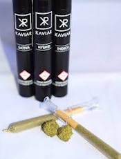 Kaviar | Infused Joint | Lemon Vixen (S)