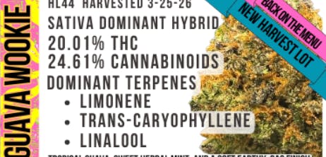 Bushy Beard | 1g Guava Wookie Preroll