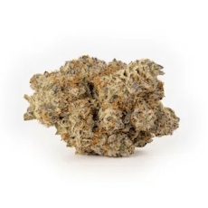 Bud & Mary's Mocha Runtz Buds