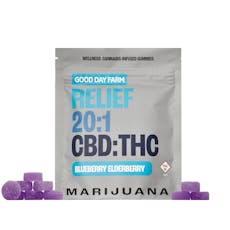 GDF: Wellness Gummies | RELIEF 20:1 Blueberry Elderberry | 500mg CBD : 25mg THC | 10pk
