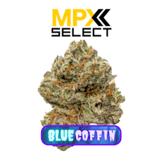 MPX Select Blue Coffin Flower