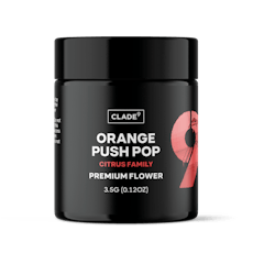 Orange Push Pop | Flower | 7G