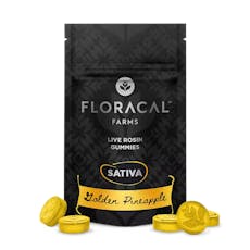 Floracal Gummies 10pk (100mg) Golden Pineapple