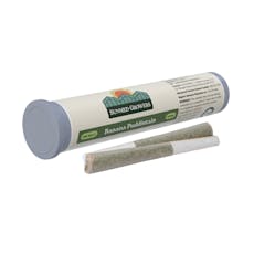 SunMed 1g Multi-Pack Prerolls 2 x 0.5g - Banana Puddintain