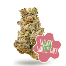Cherry Limeade Cake | 3.5G