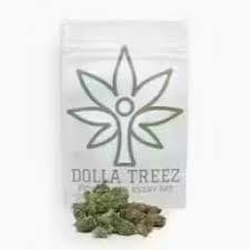 DOLLA TREEZ | APRICOT GELATO | 3.5 GRAMS FLOWER