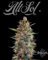 Alt Sol | Blue Sharpies | 3.5g