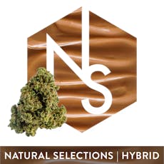 Natural Selections | Dulce De Uva | 3.5g