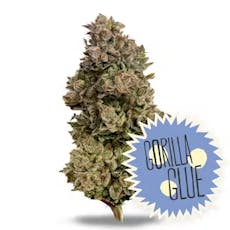 Original Glue 3.5g (District Cannabis)
