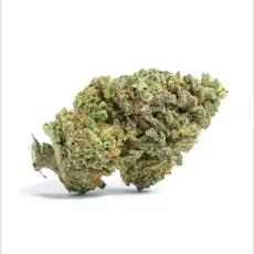 Fight Club Flower Sativa 21.1% THC