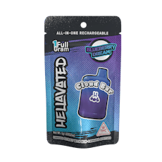 Blueberry Dream | Disposable | 1g