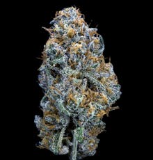 OMG Burger | Flower | 3.5G