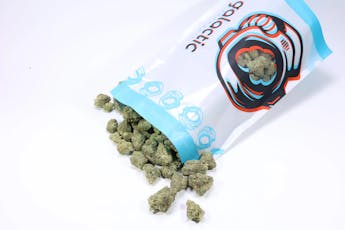 Jokerz Candy #5 14g flower - Galactic