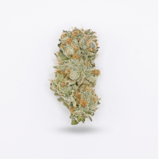 Fruity Loop Flower - Deli