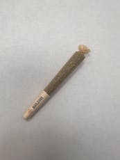 Gush Mintz | PreRoll