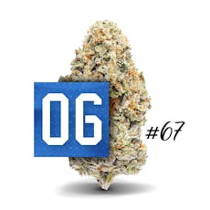 06 OG #67 - 1/8 oz Premium Flower