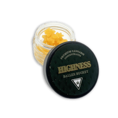 HIGHNESS | ICE RUNTZ | HYBRID | LIVE RESIN | 7G | REC