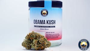 Obama Kush by Bondi Farms