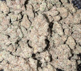 Flower | Tampa Shine | Green Castle