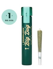 Mystic Mint Pre-Roll | 0.75g