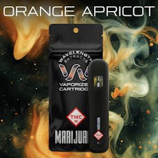 Orange Apricot | Disposable