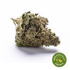 Higher Love Blueberry Buds