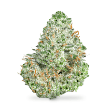 Lemonberry Candy OG B Buds