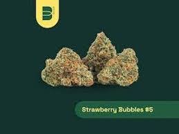 Special Shelf The Botanist Strawberry Bubbles #5 (H) 3.5g