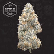 3.5G NEA Gelato Ice Cream
