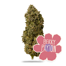 Berry Payton | 1G | SMALLS