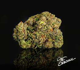 THE ESSENCE ORANGE POUND CAKE FLOWER 7G