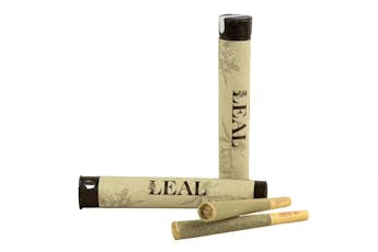 LEAL | PRE-ROLL | THIN MINT GSC | 1G