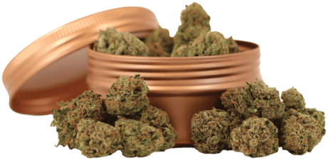 Jack Herer - (3.5g)