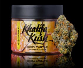 Baby Turtle - 3.5g - Khalifa Kush