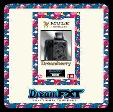 Dreamberry | FXT | 2G