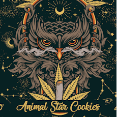 Illicit Gardens - Animal Star Cookies - Pre-Rolls - 1g/2pk