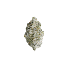 UNITED TERPS OF AMERICA | TROPICAL OASIS | HYBRID | INFUSED FLOWER |