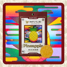 Pineapple | Kicker | 100mg | Gummy | 1-Piece