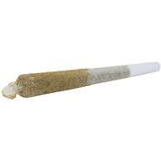Tangie & Cream - Deluxe Moonstick - 1.1g