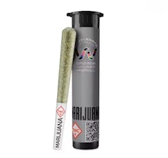 Wavelength: Infused Pre-Roll | Runtz on Runtz | 1g