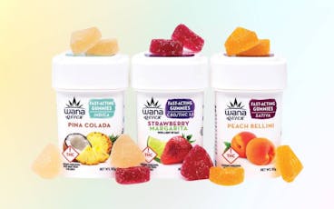 Island Punch Gummies (10PK) - 95.60mg - Bloom Montana