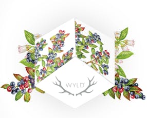 Wyld Gummies 10pk - Huckleberry