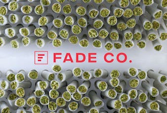 Fade Co. | Grape Do-Si | 0.5g Pre Roll (2pk)