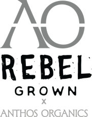 Rebel | Rebel Cookies | 1g Live Resin Crumble