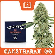 Originals | Oakstradam OG | 3.5g