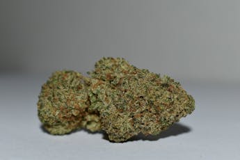 Redneck Runtz 3.5g Pre-Pack