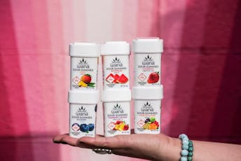 Fast Asleep Gummies (10PK) - 20.72mg - Bloom Montana