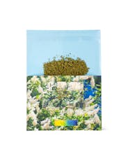 Infused Ground RAINBOW POUND CAKE