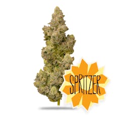 Spritzer